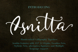 Asnitta Font: Playful Script for Digital Campaigns