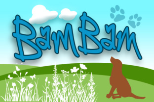 BamBam Font: Adding Playful Energy to Editorial Design