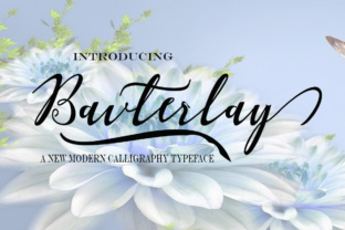 Bavterlay Font: Adding Warmth to Editorial Design