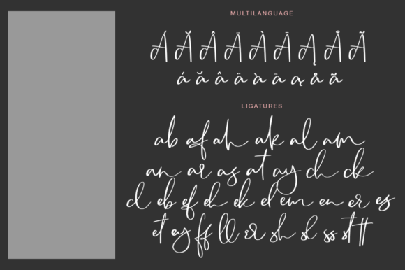 Camsay Font: Elevating Campaign Visuals with Handmade Script