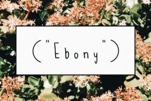 Ebony Font: Adding Handwritten Charm to Your Brand