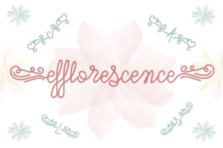 Efflorescence Font: Elevating Digital Brand Identity