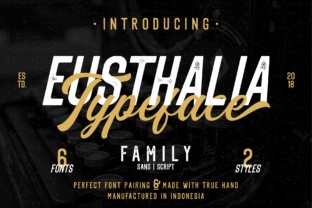 Eusthalia Family Font: Elevating Campaign Visuals