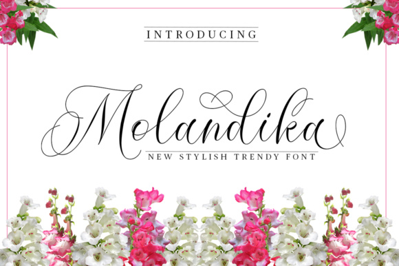 Molandika Font: Elegant Script for Editorial Design