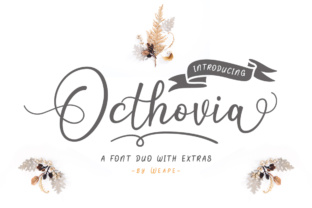 Octhovia Duo Font Review for Modern Web Design