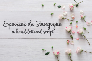 PN Époisses De Bourgogne Font: A Bouncy Script for Branding